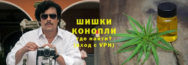 сатива Балахна
