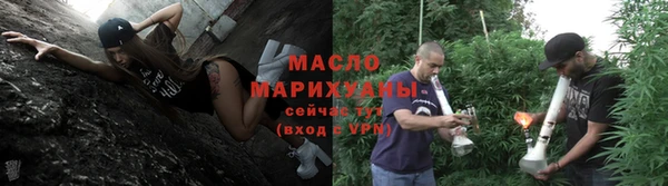 сатива Балахна