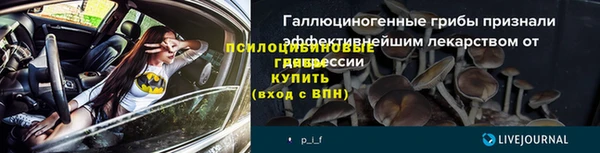 мяу мяу мука Балабаново