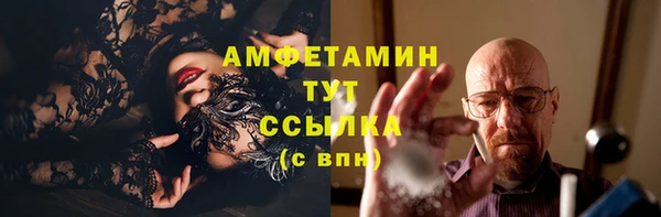 сатива Балахна