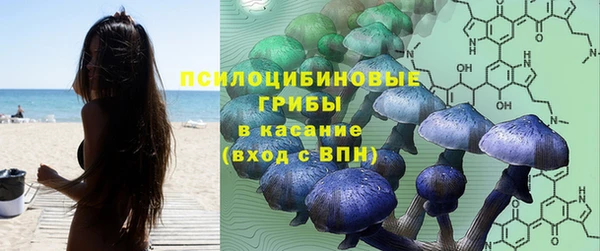 сатива Балахна