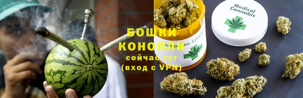 сатива Балахна