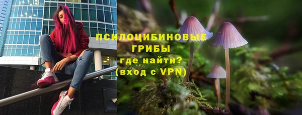 дмт Покровск
